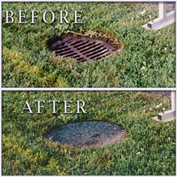 Circular Grate Guard - 30" Diameter