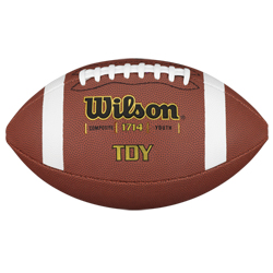 Wilson TDY Composite Series Football - Youth
