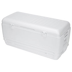 Igloo 150 Quart Quick & Cool