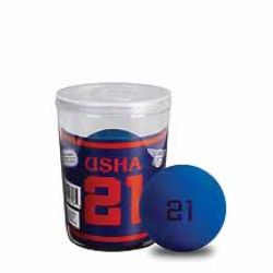 USHA 21 Handball