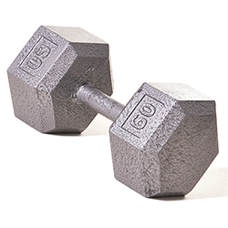 Hex Dumbbell w/ Straight Handle 60 lb