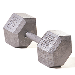 Hex Dumbbell w/ Straight Handle 65 lb