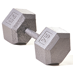 Hex Dumbbell w/ Straight Handle 75lb