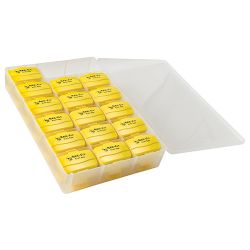 Bee-Fit Worker Bee Pedometer Class Pack